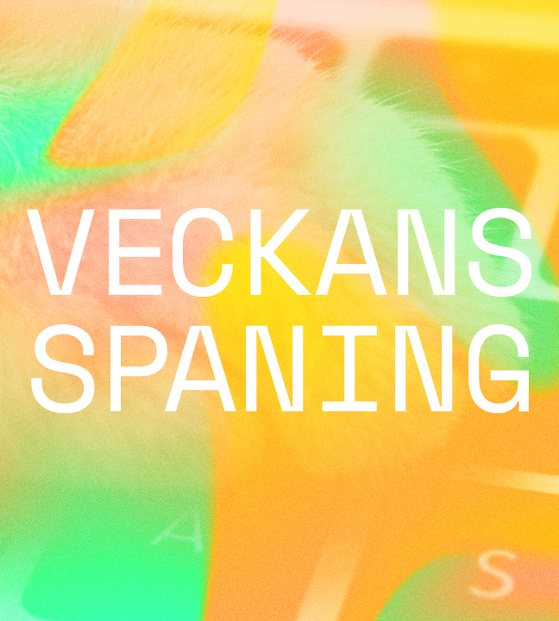 Veckans Spaning v.24
